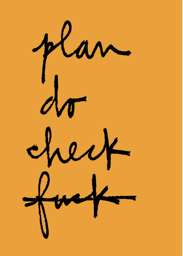 Plan Do Check Fuck - immagine 10