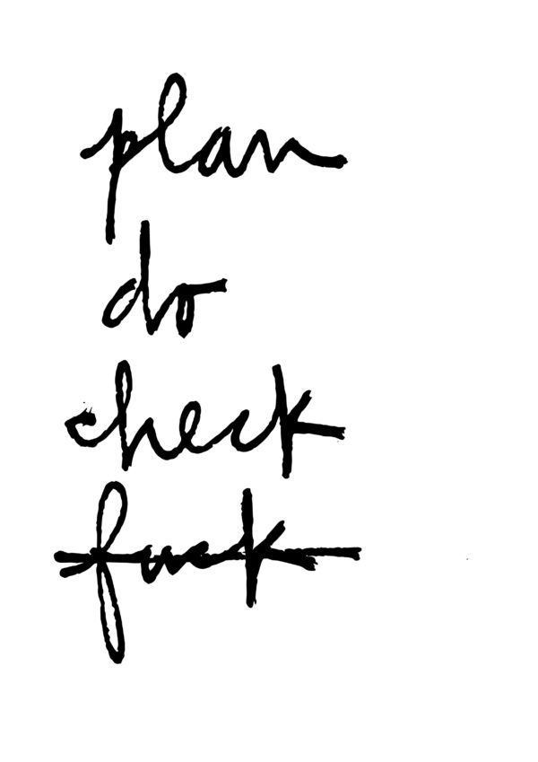 Plan Do Check Fuck - immagine 3