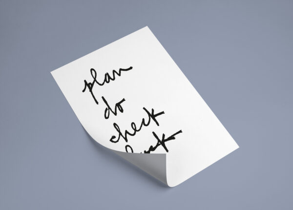 Plan Do Check Fuck - immagine 2