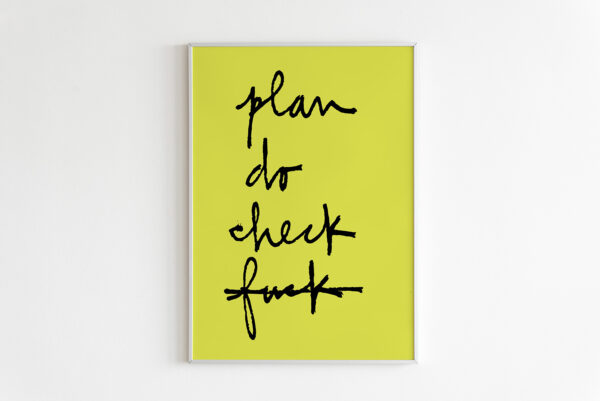 Plan Do Check Fuck